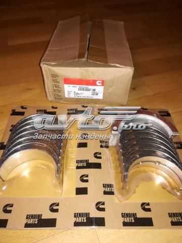 CUMMINS 4955352 в наличии Николаев