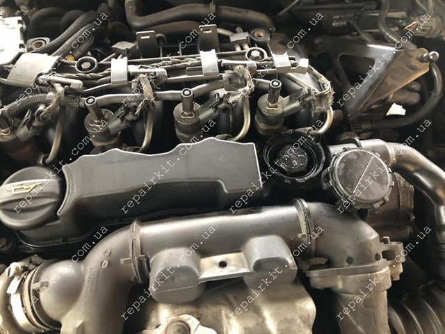 KL0248L1 купить Ровно