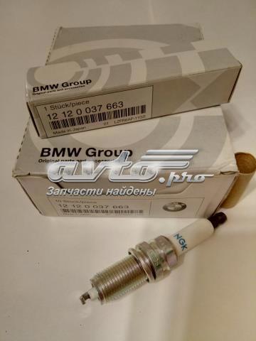 12120037663 BMW Свеча зажигания купить в Сумы