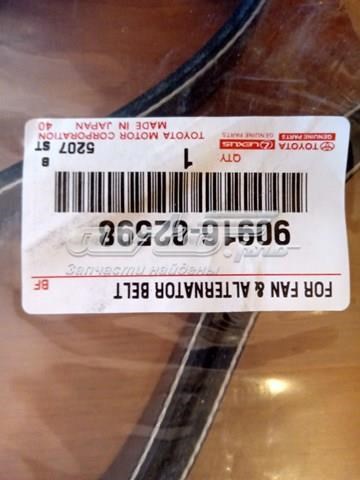 TOYOTA 9091602601 Ремень агрегатов приводной в наличии Черновцы