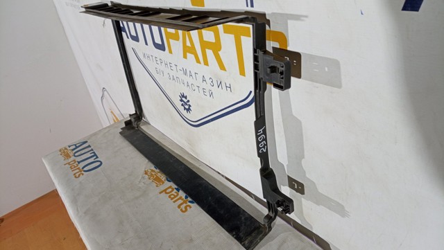 215596594R RENAULT купить в Черновцы