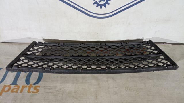 51117178115 BMW Решетка бампера купить в Черкассы