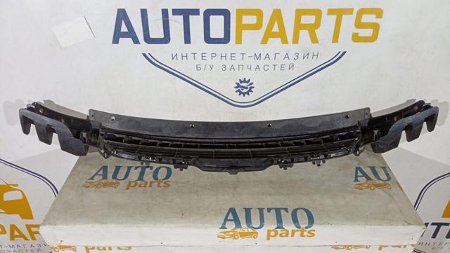 51117245733 BMW Решетка бампера переднего центральная купить в Сумы