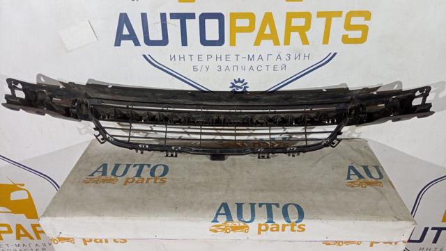BMW 51117245733 Решетка бампера переднего центральная в наличии Кривой Рог