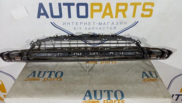 Центральная решетка переднего бампера 51117245733 BMW