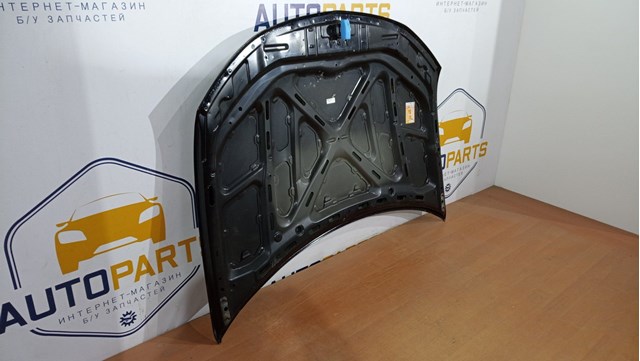 MITSUBISHI 5900A220 Капот в наличии Кривой Рог
