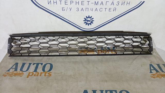 Решетка на бампер 657853677 VAG