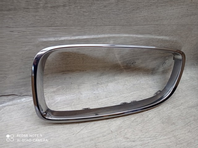 7294813 BMW Решетка радиатора купить в Ужгород