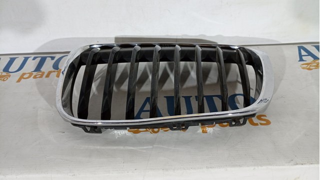 7383363 BMW Решетка радиатора левая купить в Черновцы