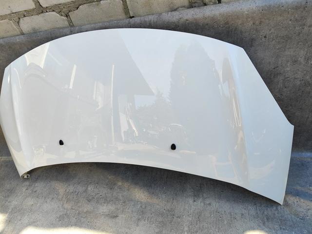 PEUGEOT 7901R1 Капот в наличии Днепр