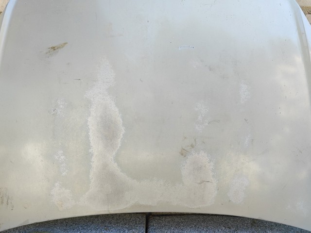 OPEL 93178717 Капот в наличии Каменское