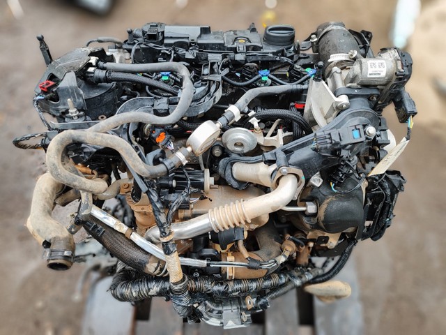 CN1Q6010CB FORD купить в Запорожье