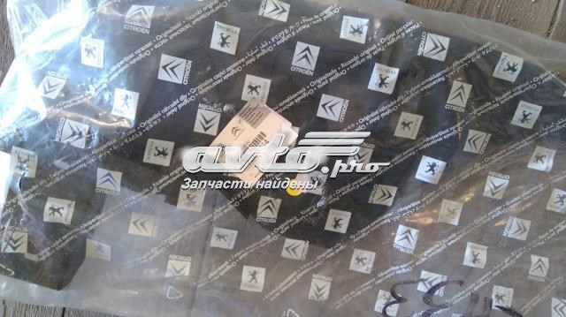 7589N4 PEUGEOT Накладка декоративная центральной консоли купить в Сумы