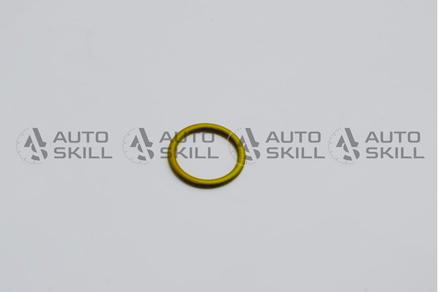 MERCEDES 0219976845 Прокладка водяной помпы в наличии Черновцы