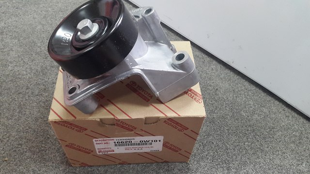 166200W101 Натяжитель приводного ремня купить Тернополь