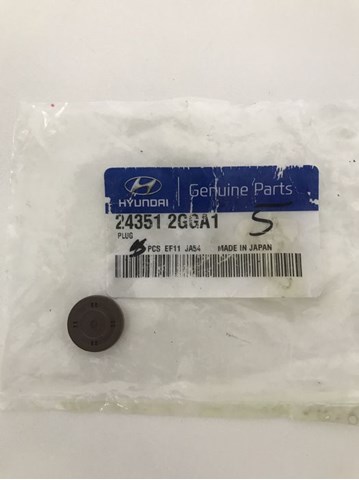 HYUNDAI 243512GGA1 Заглушка днища кузова в наличии Киев