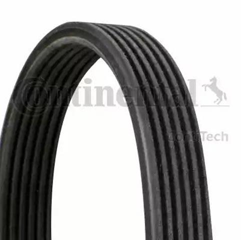 CONTINENTAL 6DPK1195 Ремень генератора в наличии Ирпень