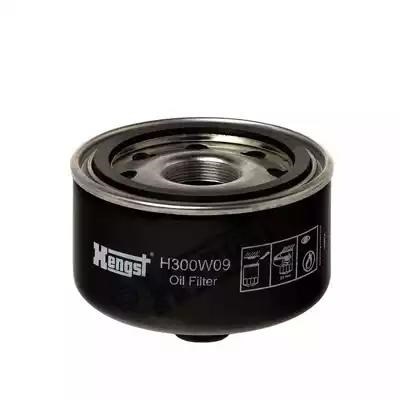 Фильтр центробежный очистки масла H300W09 HENGST