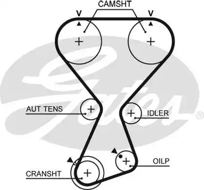 Autooil ремінь газорозподільного механізму T313