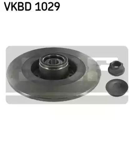 Тормозные диски VKBD1029 SKF