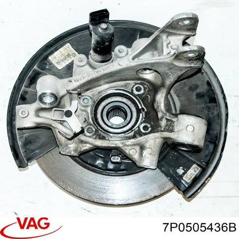 Цапфа поворотного кулака 7P0505436B VAG