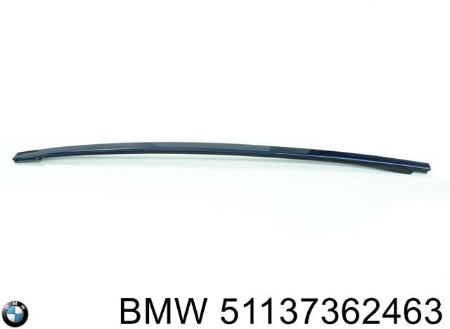 BMW 51137362463 Молдинг крыши левый в наличии Павлоград