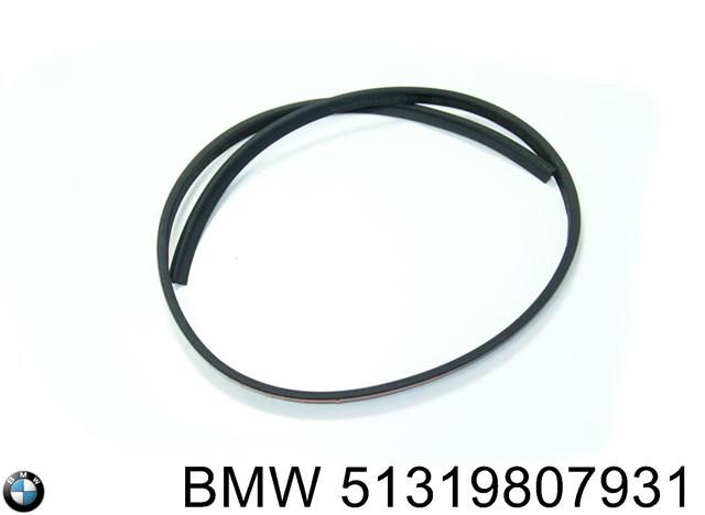 BMW 51319807931 в наличии Днепр