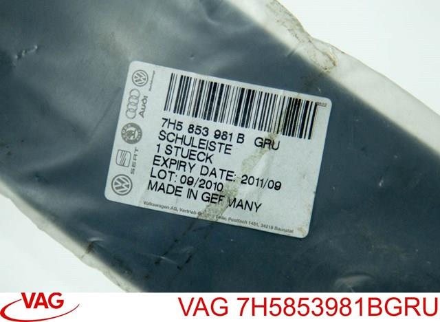VAG 7H5853981BGRU Молдинг крыла заднего левого в наличии Павлоград