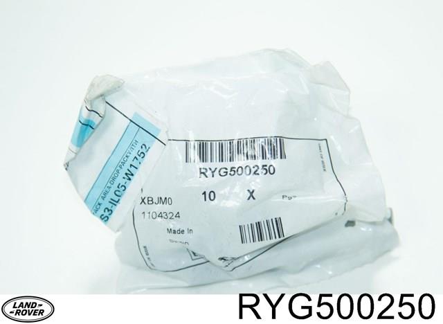 RYG500250 купить Ужгород