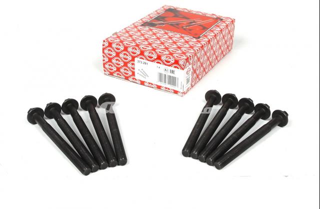 Болт головки блока цилиндров Рено Дастер I