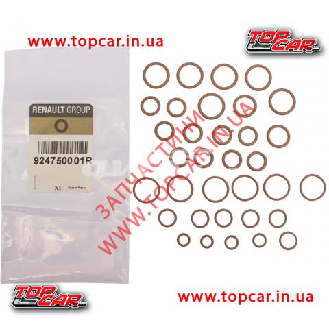 924750001R Кольцо уплотнительное трубки кондиционера купить Сумы