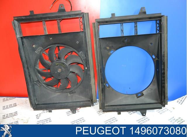 PEUGEOT 1496073080 в наличии Каменское