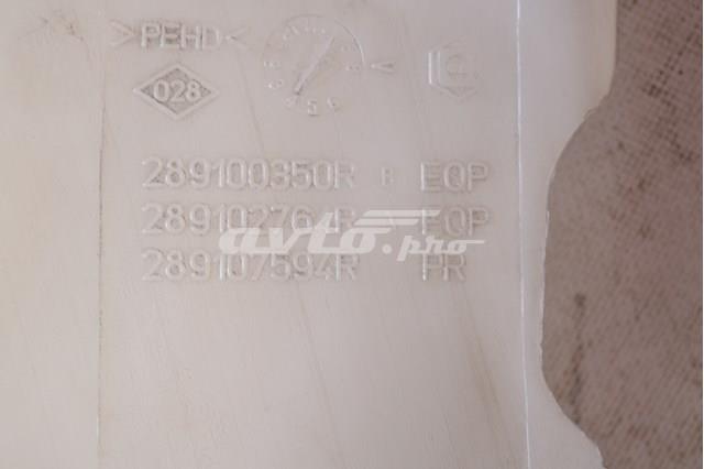 289100350R купить Киев