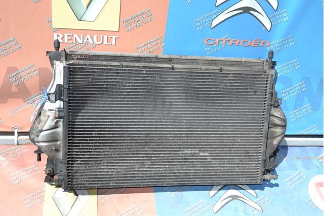 Радиатор охлаждения двигателя 8200008765 RENAULT
