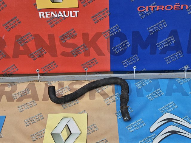 Шланг радиатора, нижний 8200126265 RENAULT