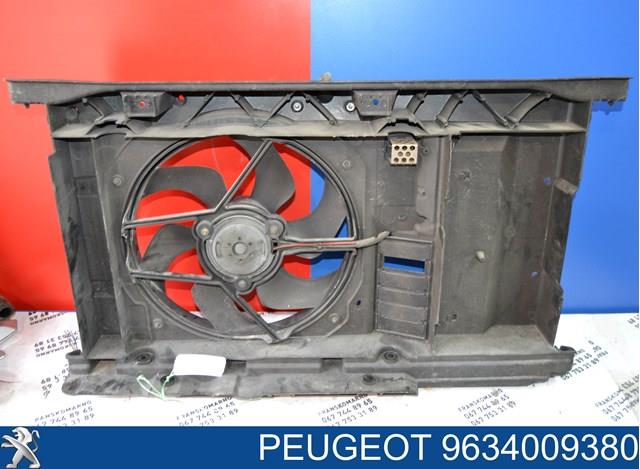 9634009380 PEUGEOT купить в Полтава