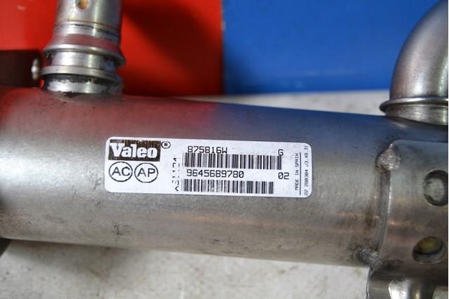 9645689780 FIAT Радиатор системы EGR купить в Львов