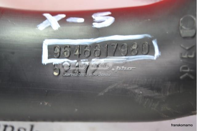 PEUGEOT 9646617980 в наличии Каменское