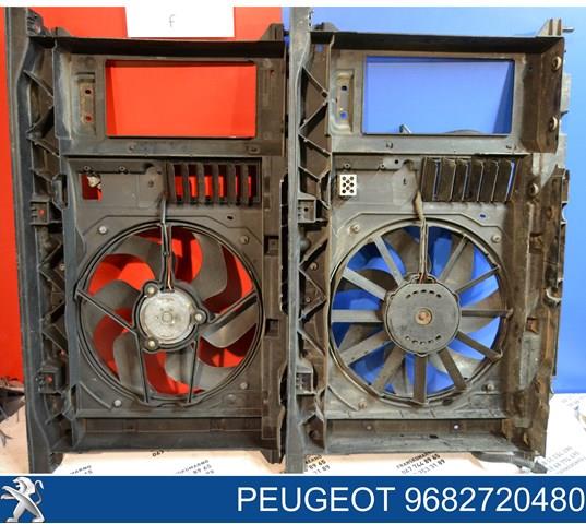 9682720480 PEUGEOT купить в Павлоград