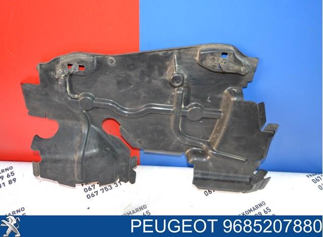 PEUGEOT 9685207880 в наличии Тернополь