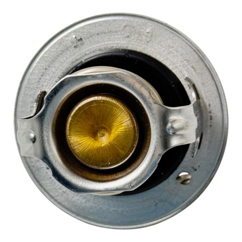 W54NB82 TAMA Термостат купить в Запорожье