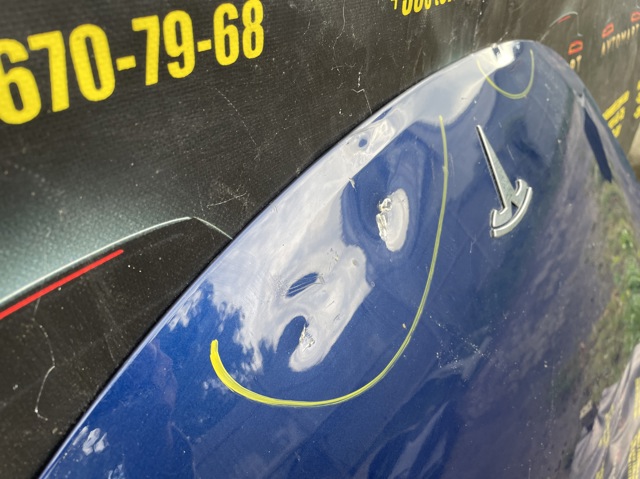 Tesla Model 1081390E0C Капот в наличии Павлоград