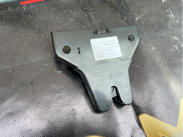 TESLA 600660100B Замок капота в наличии Сумы