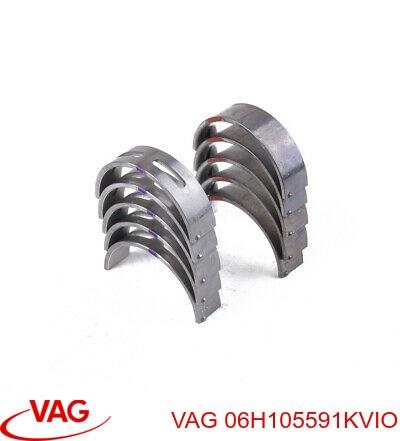 06H105591KVIO купить Кривой Рог