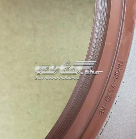 1684808 FORD Крышка гидротрансформатора защитная купить в Николаев
