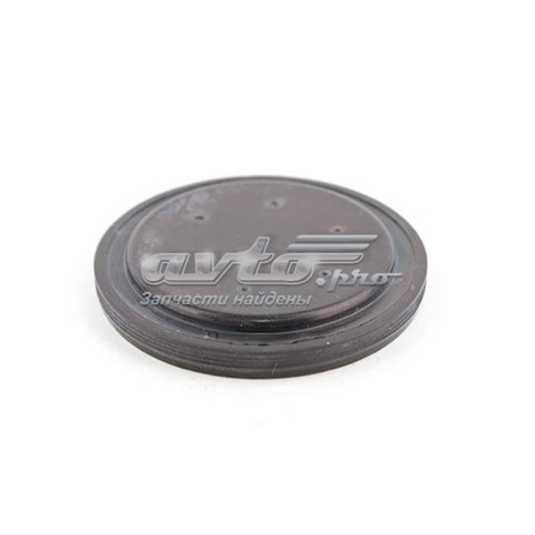 CHERY 015409289AA Заглушка задней крышки КПП в наличии Николаев