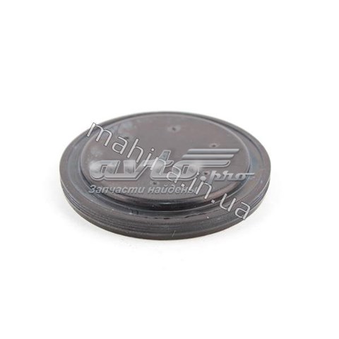 015409289AA CHERY Заглушка задней крышки КПП купить в Чернигов