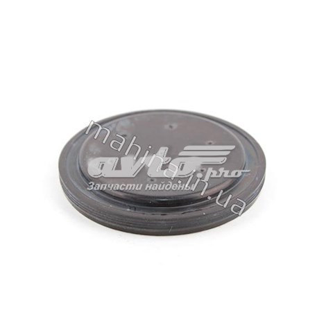 CHERY 015409289AA Заглушка задней крышки КПП в наличии Хмельницкий