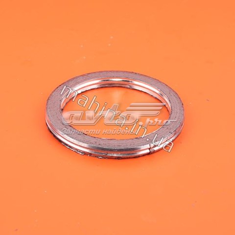 Прокладка приемной трубы (кольцо) elring 1008070A-E00