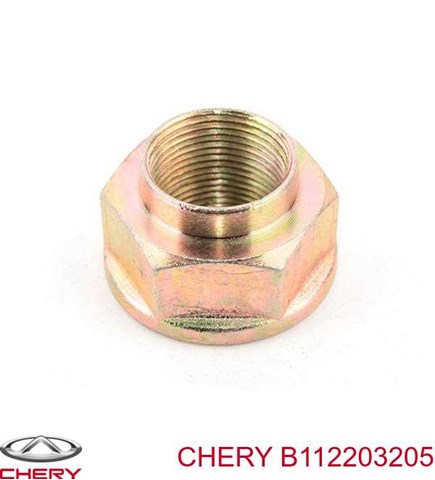 B112203205 Гайка ступицы передней купить Житомир